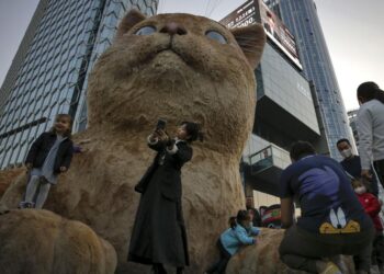 China’s economy accelerates as virus recovery gains strength | World News