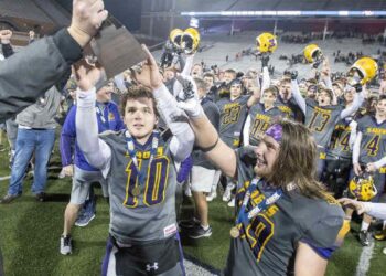 From the sports editor’s desk: Missing out on IHSA playoff show | Sports