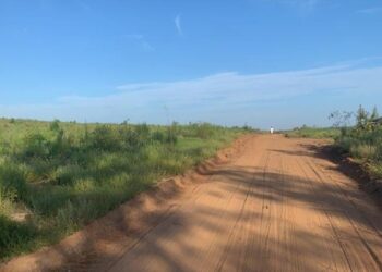 19 Black families buy 97 acres of Georgia land to create ‘Freedom’