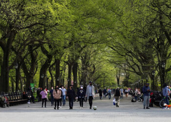 Central Park Is Alive With The Sound Of Music, Thanks To A Site-Specific App