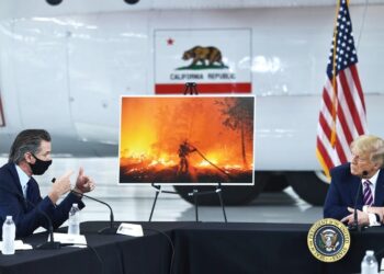 Yes, Science Is Political – Scientific American