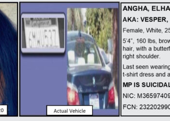 Missing Calabasas woman, 25, might be suicidal – Daily News