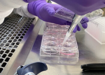 Silencing gene expression to cure complex diseases | MIT News