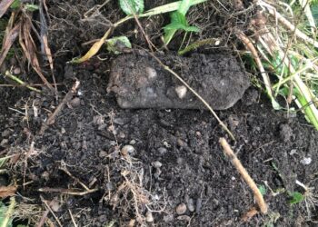 Live World War II bomb uncovered