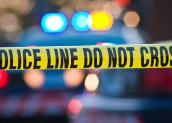 Armenia supporters block traffic in San Fernando Valley – Daily News