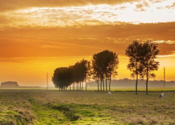 Finding Perspective and Better Life Balance