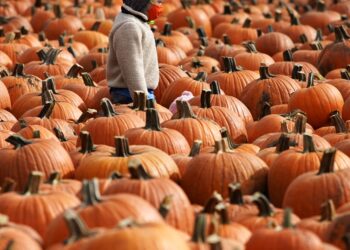 ‘Winter surge,’ no vaccine likely before election