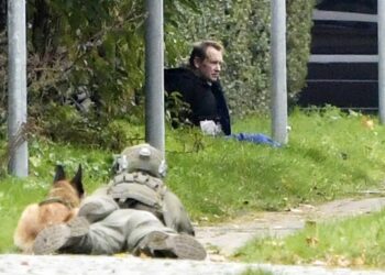 Danish Sub Killer Recaptured After Attempted Prison Escape | World News