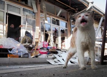 Armenia Asks Moscow for Help Amid Nagorno-Karabakh Fighting | World News