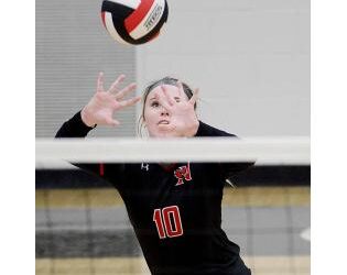 No. 10 DCG too much for Newton volleyball