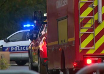 France attack: Man shot by police after ‘decapitation’ in Paris suburbs | World News