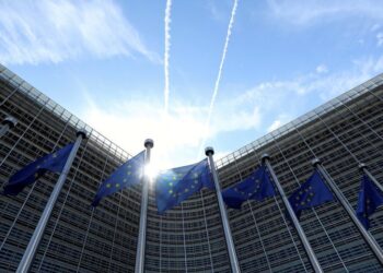 European Union Agrees to Help Mozambique Tackle Insurgency: Statement | World News