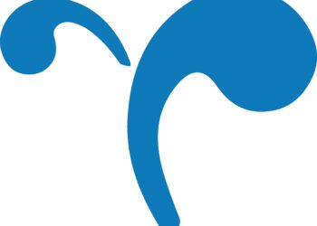 Q&A: Pomona politics professor Susan McWilliams talks 2020 election