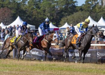 Steeplechase of Charleston will decide jockey of the year title | Sports