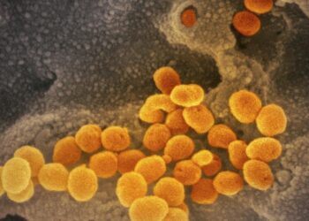 Tyler Cowen: The politics of a vaccine | Columnists