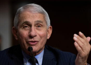 Fauci praises Biden on Covid-19 & criticizes Trump in interview with Washington Post published THREE DAYS before election — DHT USA News