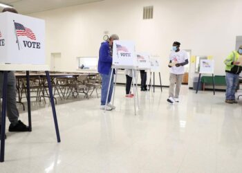 Record number of people voted absentee in Black Hawk County | Political News