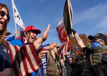 Trump supporters flock to state capitols Saturday