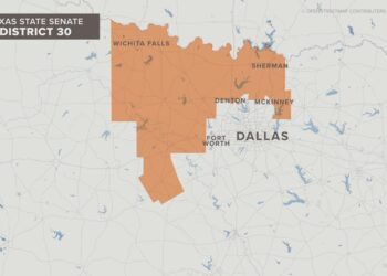 Inside Texas Politics: Republicans Luther, Springer face off in Senate District 30 runoff election