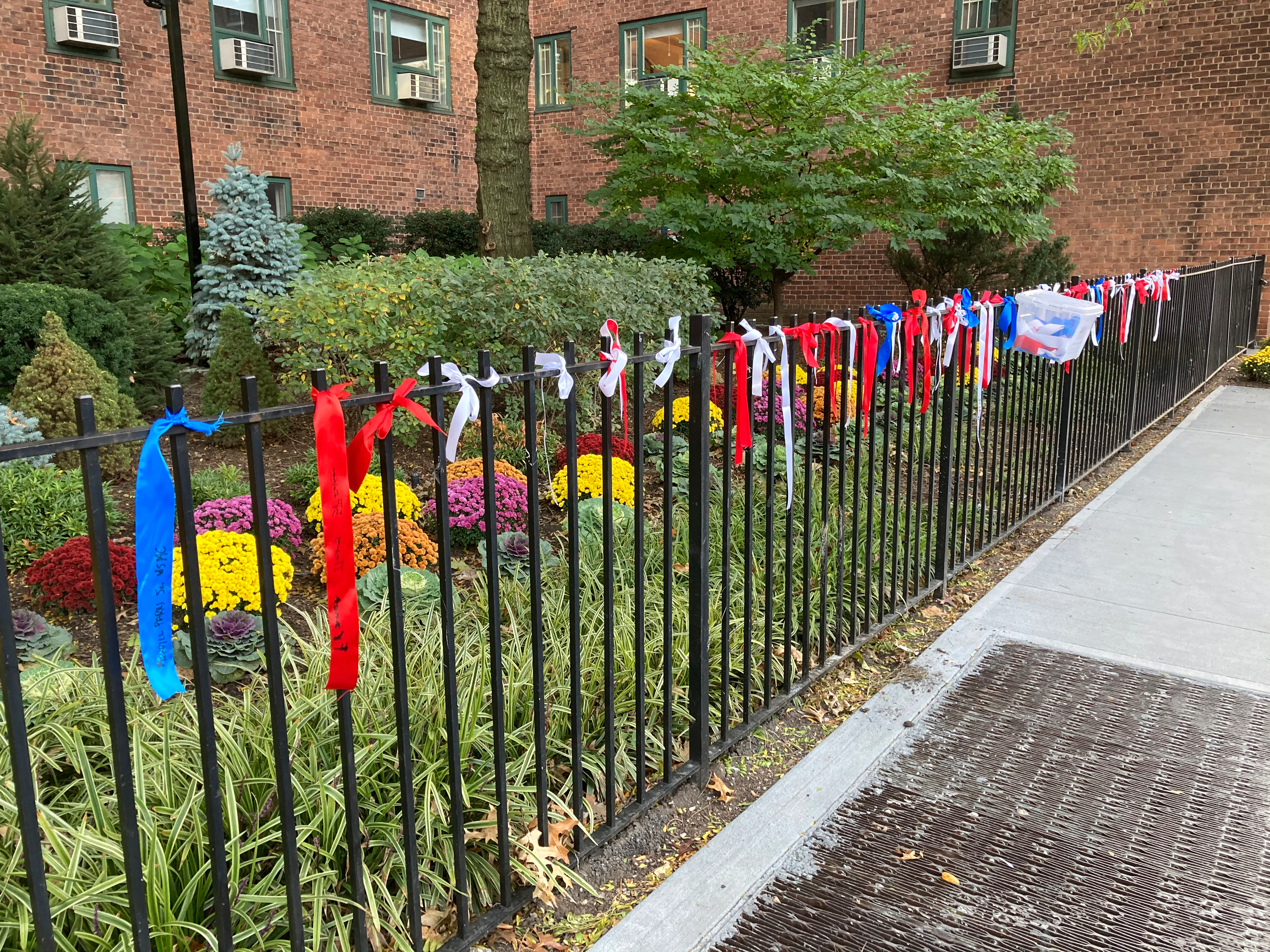 Americans Mark Veterans Day Amid Strain of Pandemic | Voice of America