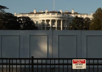 Election results, electoral votes, Trump, Biden, Nevada: Thursday’s news