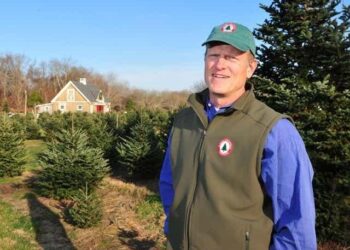 Clarks Christmas Tree Farm in Tiverton will skip this holiday season – News – Milford Daily News