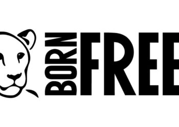 Born Free USA Calls for Immediate Action on Fur Farming amid COVID Outbreak