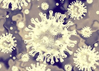 Health department reports fourth highest single-day COVID-19 case total in Lexington