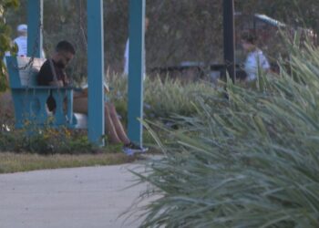 Election, COVID-19 taking its toll on mental health