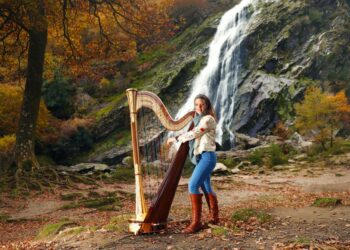 ‘This is what I need to do’ – Harpist brings live music via online concerts