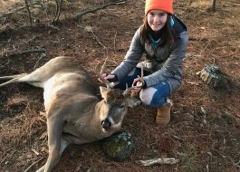 Michigan deer opener could be wet, windy | News, Sports, Jobs