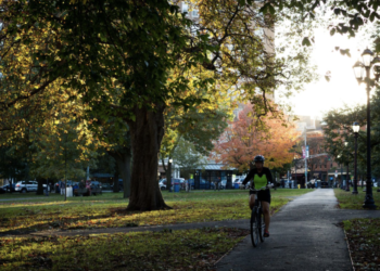 82% of voters support transition to clean economy, Yale study finds