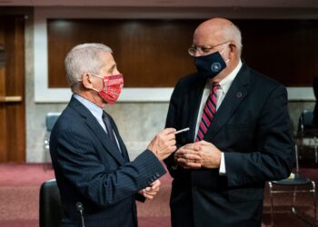 COVID-19, CDC, murder hornets, Georgia voting, Eta: Wednesday’s news