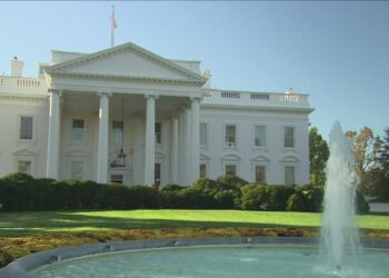 2020 election inspiring women to run for political office