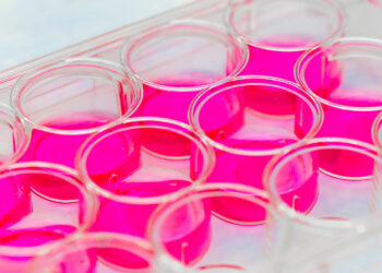 Voters approve stem cell research bonds, but other health care measures defeated – State of Reform