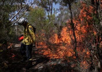 Australia Forecasts Prolonged Wildfire Seasons, More Droughts From Climate Change | World News