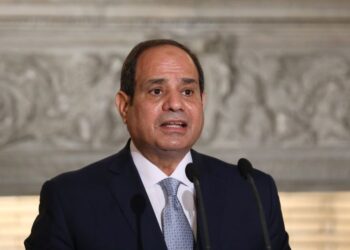 Pro-Sisi Party in Commanding Position in Egypt’s Parliamentary Polls | World News