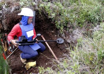 Colombia Asks for More Time to Remove Landmines From Territory | World News