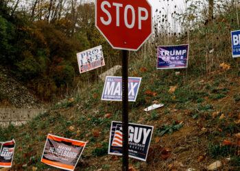 Signs Get Snatched, Kicked, Burned as Political Battle Reaches the Front Lawn