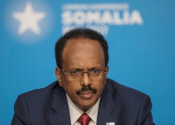 Somalia Leaders Fail to Break Deadlock Over Presidential Vote | World News