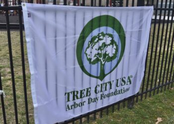 Jonesborough named Tree City USA community | Sunday Stories