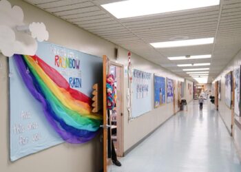 AP Exclusive: Pandemic means far fewer eyes on kids’ welfare | Politics