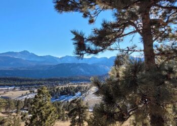 Soothing nature sounds can improve mental health said CSU study