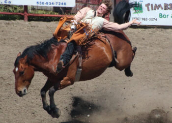 78th Annual Stonyford Rodeo to return in April – Red Bluff Daily News