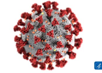 Minnesota health officials report 5 COVID deaths, 1,227 new cases