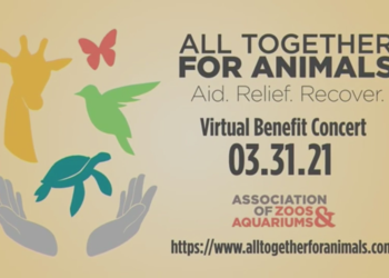 Country music stars hold virtual concert to raise money for zoos and aquariums