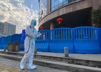 1 Report, 4 Theories: Scientists Mull Clues on Virus’ Origin | World News