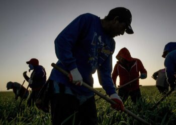 Politics isn’t all that’s dividing us, it’s corporations, too