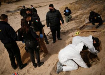 Mexico to search common graves for thousands of drug-war missing