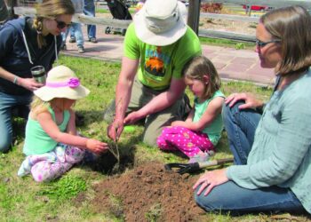 Tree City USA | News, Sports, Jobs